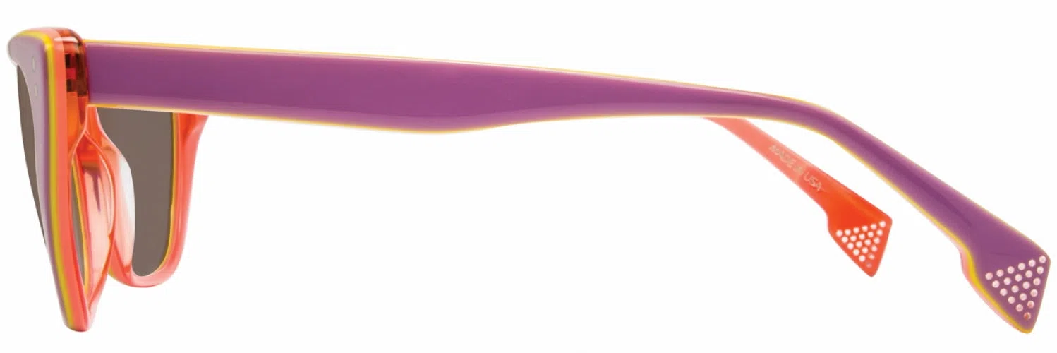 STATE Optical Co. WABASHSUN Sunglasses - view 8